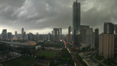 พายุ คมปาซุ