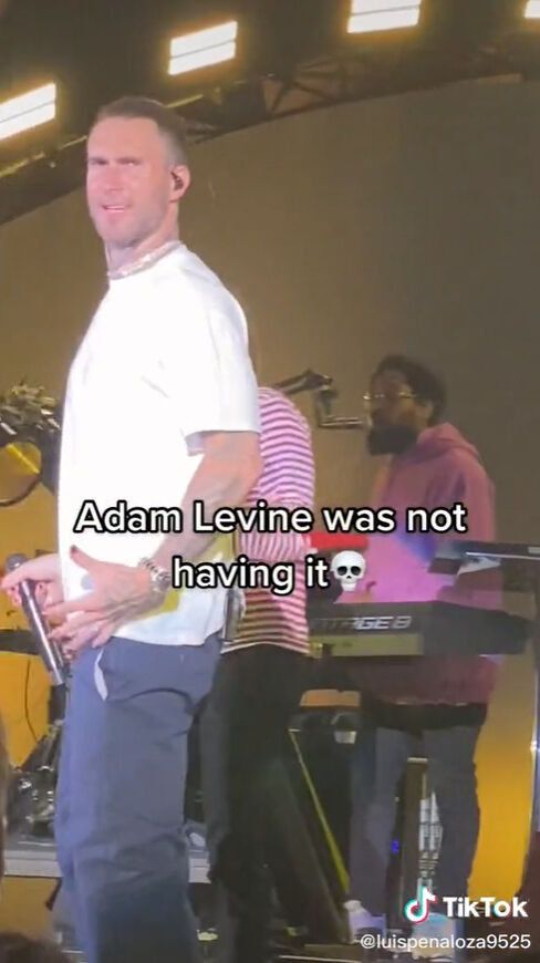 อดัม เลอวีน