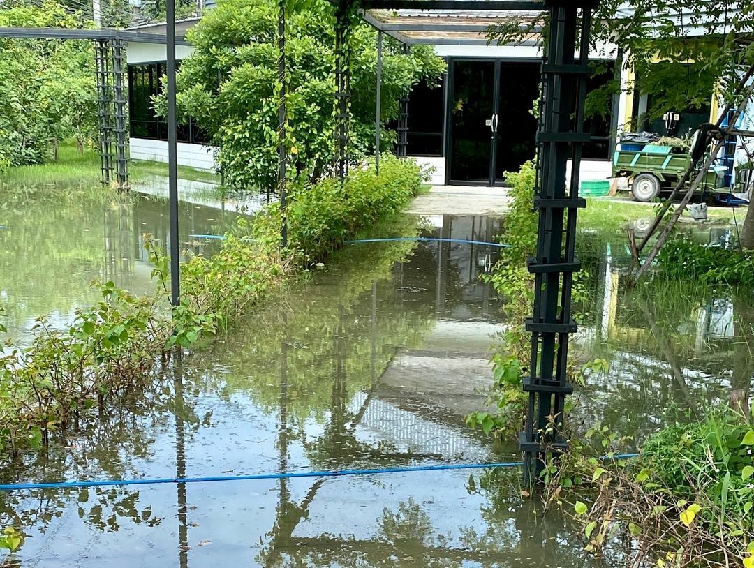 ปอนด์ นุ้ย สุจิรา