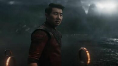 shang chi