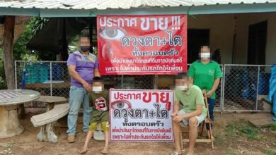 ประกาศขายไต