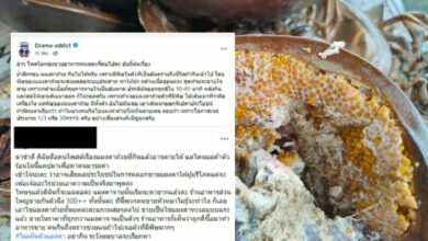 แมงดาถ้วย กินได้ไหม