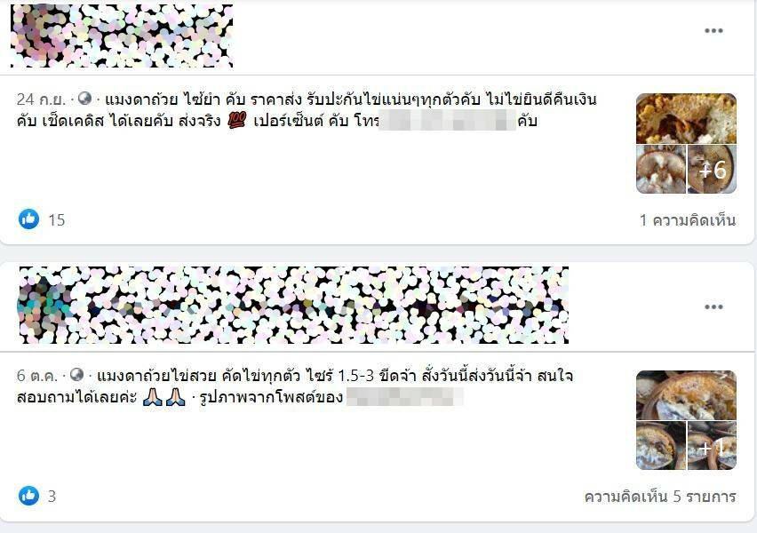 แมงดาถ้วย ขาย