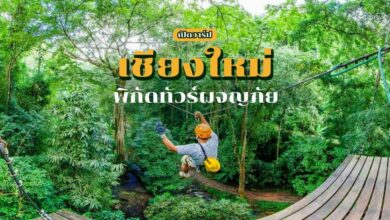 เปิดทริป ทัวร์มันส์น่าเที่ยว พร้อมตะลุยเชียงใหม่