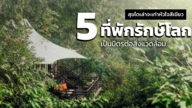 เปิดพิกัดเช็คอิน Green Hotel โรงแรมรักษ์โลก