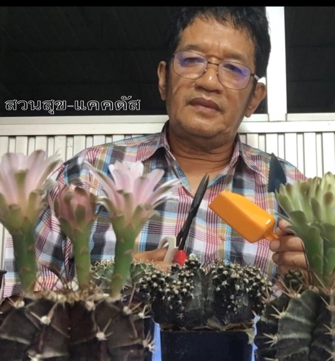 น้าโย่ง เชิญยิ้ม