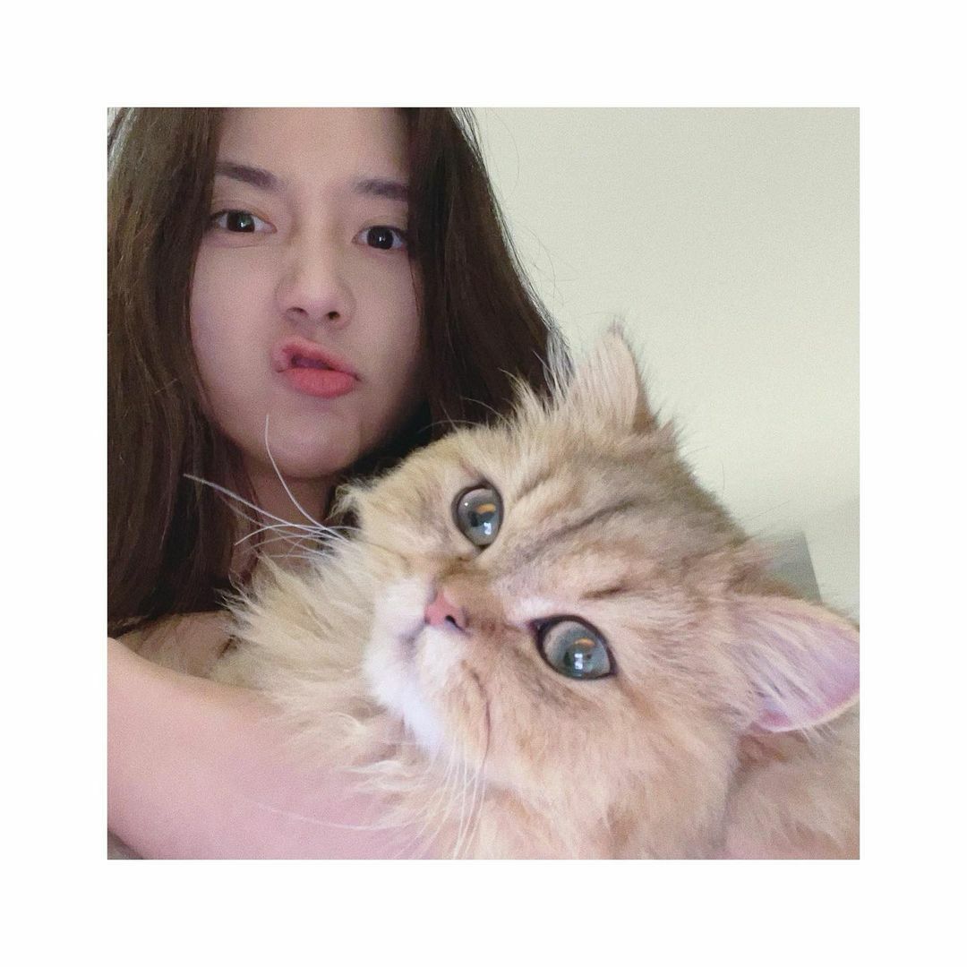 ฮันซอฮี