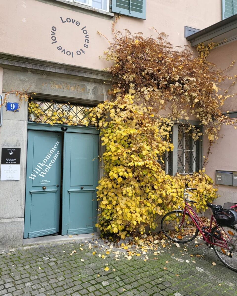 ชมพู่ อารยา