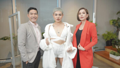เมิร์ซ เอสเธติกส์ ซิลวี่