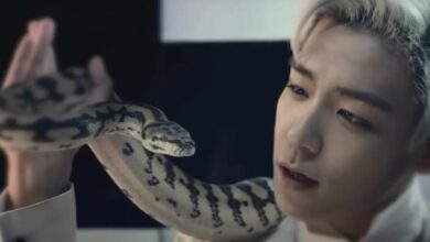 top bigbang