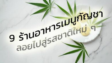 9 ร้านอาหารเมนูกัญชา พาคุณลอยไปสู่รสชาติใหม่ ๆ