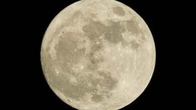 Micro Fullmoon
