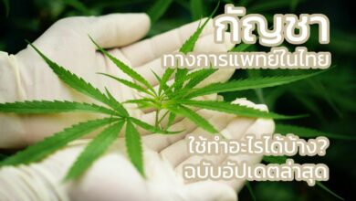 อัปเดตล่าสุด 5 เรื่องน่ารู้ กัญชาทางการแพทย์ในไทย ใช้ทำอะไรได้บ้าง?
