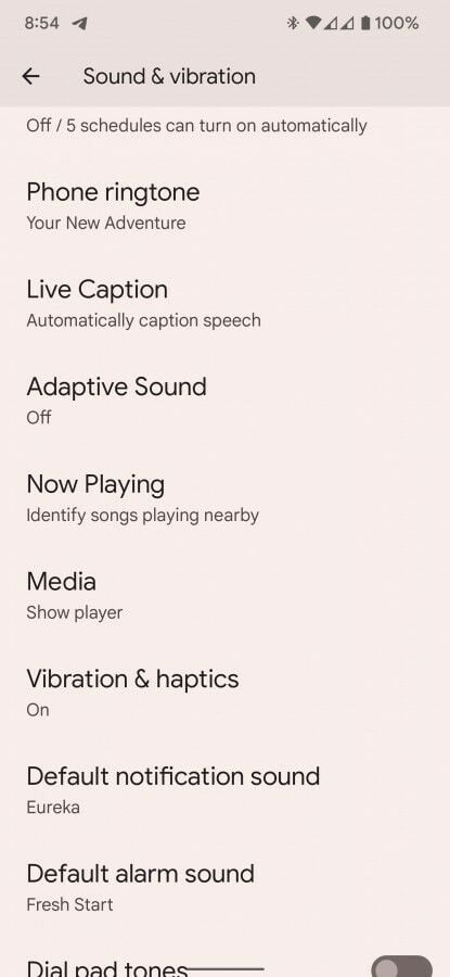 Adaptive Sound Pixel 6 