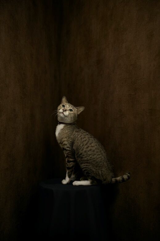 The Whole Truth ปริศนารูหลอน”