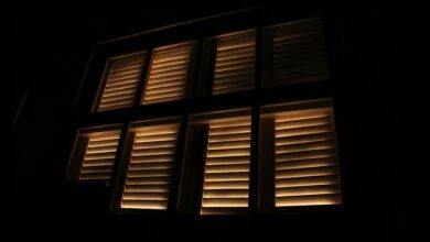 แม่พ้นคุก