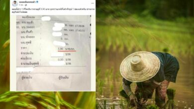 ราคาข้าวตกต่ำ