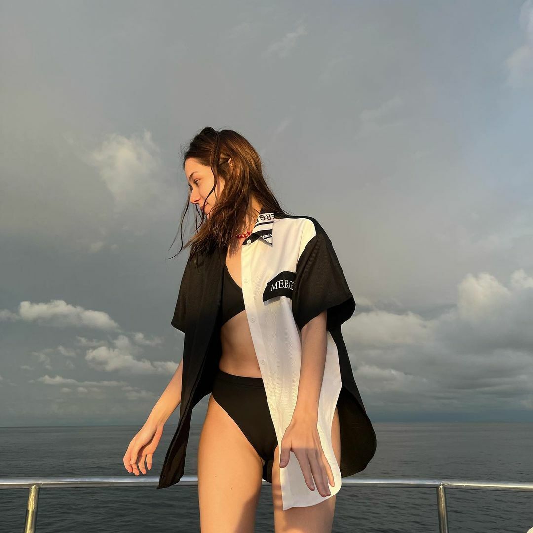 วี วิโอเลต