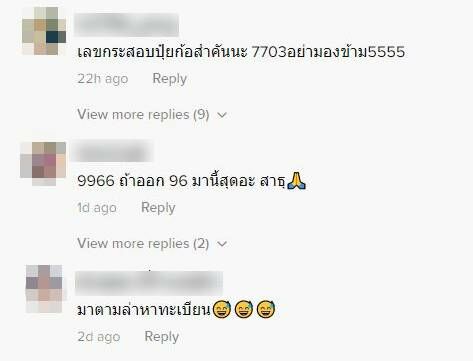 งูเข้า รถยนต์