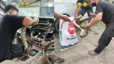 งูเข้ารถ เลขกระสอบ