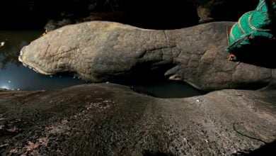 พญานาคในช่องหุบเขาน้ำ