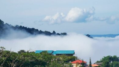 ยอดดอย อากาศหนาว