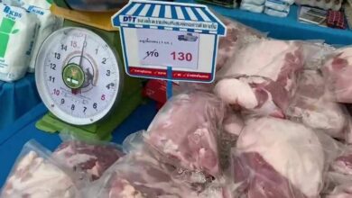หมูเนื้อแดงราคาถูก