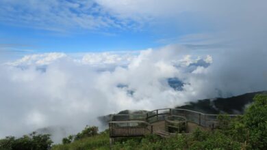 ดอยอินทนนท์