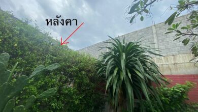 เพื่อนบ้าน ถมดินสูง