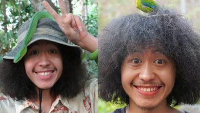 โจโฉ เดินป่า ล่าสุด