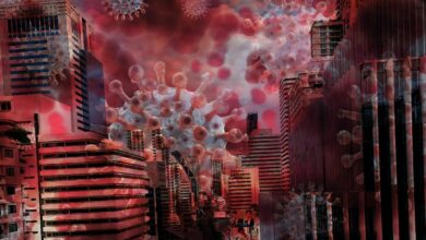 โควิดวันนี้