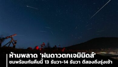'ฝนดาวตกเจมินิดส์' ชมพร้อมกันคืนนี้ ตีสอง พร้อมเทคนิคการถ่ายภาพ