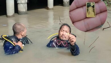 แผ่นทองคำ