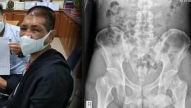 น้องฟ้า