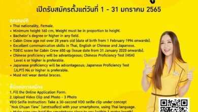 นกแอร์ รับสมัครลูกเรือ