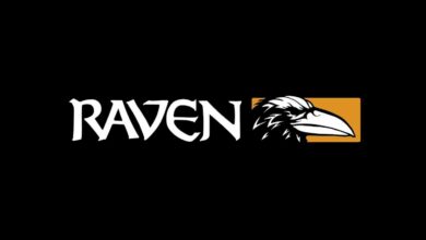 Activision Raven Software