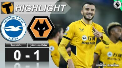 ผลบอล ไบรท์ตัน 0-1 วูล์ฟแฮมป์ตัน (คลิปไฮไลท์บอล)