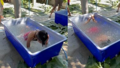 ice bathing สถาบันมะเร็ง