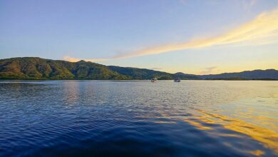 Flores Sea