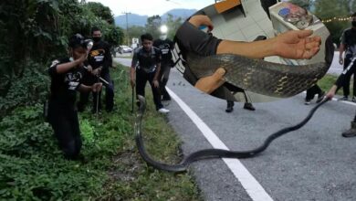 จงอางบางพระ