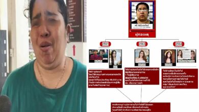 นัทโอนไว ผึ้ง