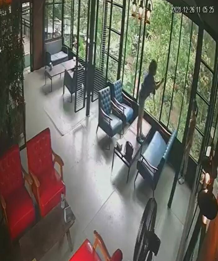 ปีนโต๊ะถ่ายรูป ทัวร์ลง