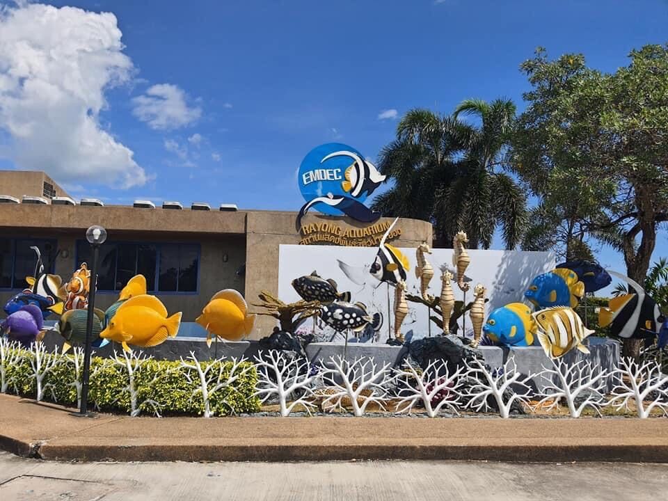 สัตว์น้ำ