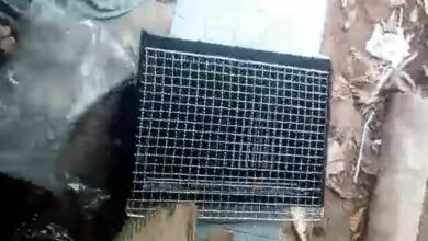 รองเท้า เตาปิ้งย่าง