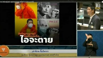 เท่าพิภพ ไอน์สไตน์