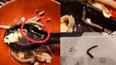 ไส้เดือน ร้านชาบู