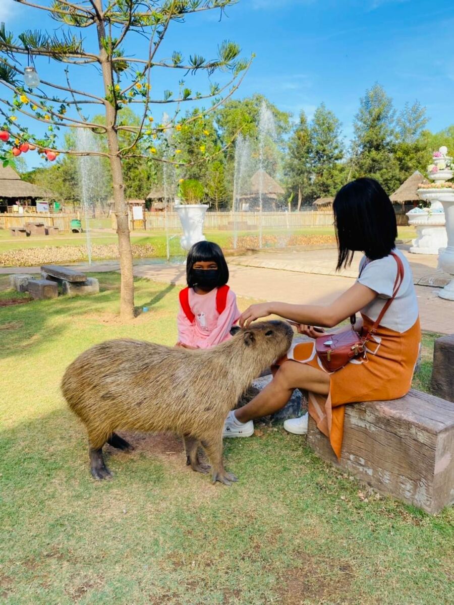 คาปิบาร่า