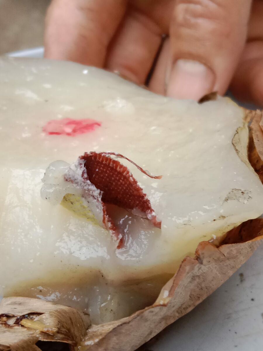 ขนมเข่ง ปลาสเตอร์