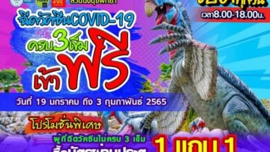 สวนนงนุช