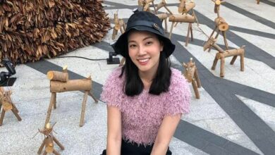หมอกระต่าย